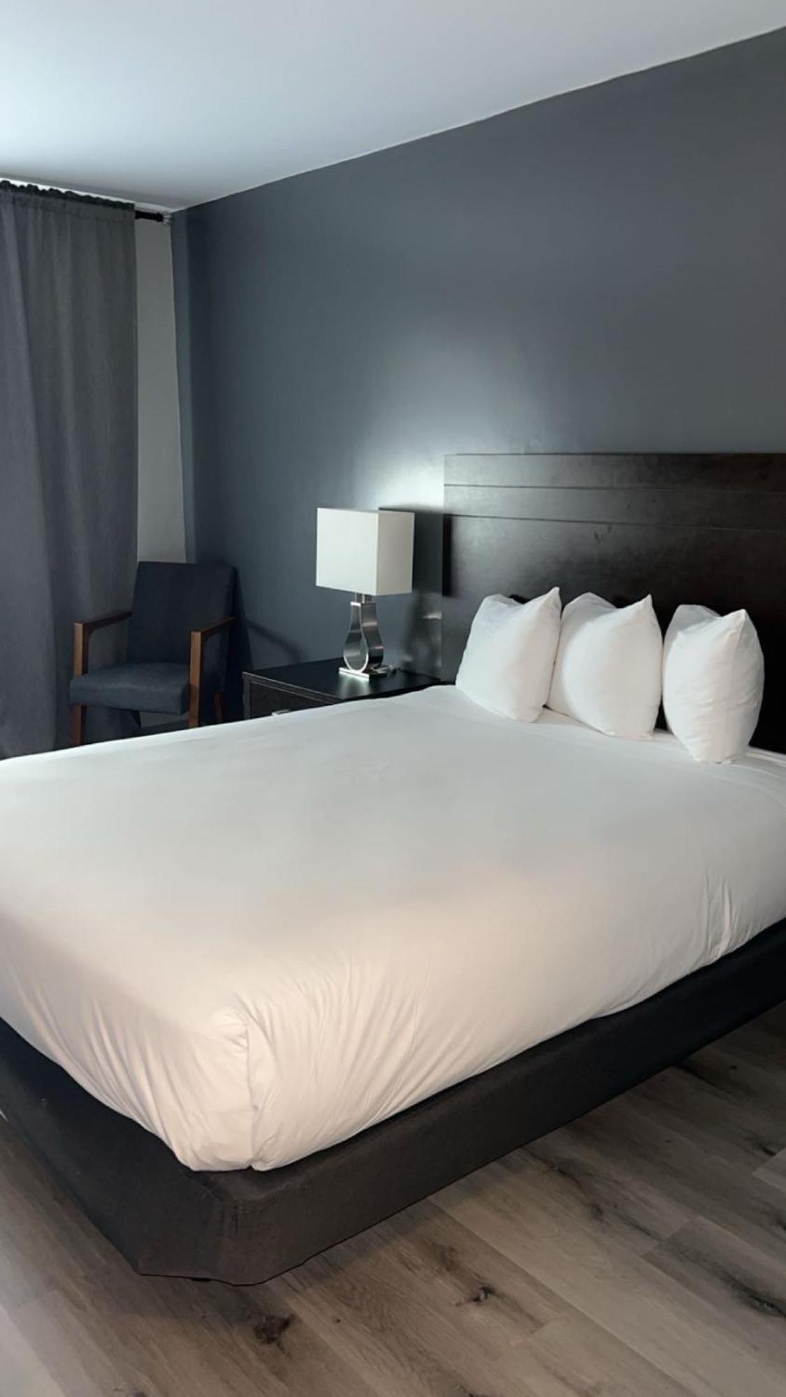 Newstar Montreal