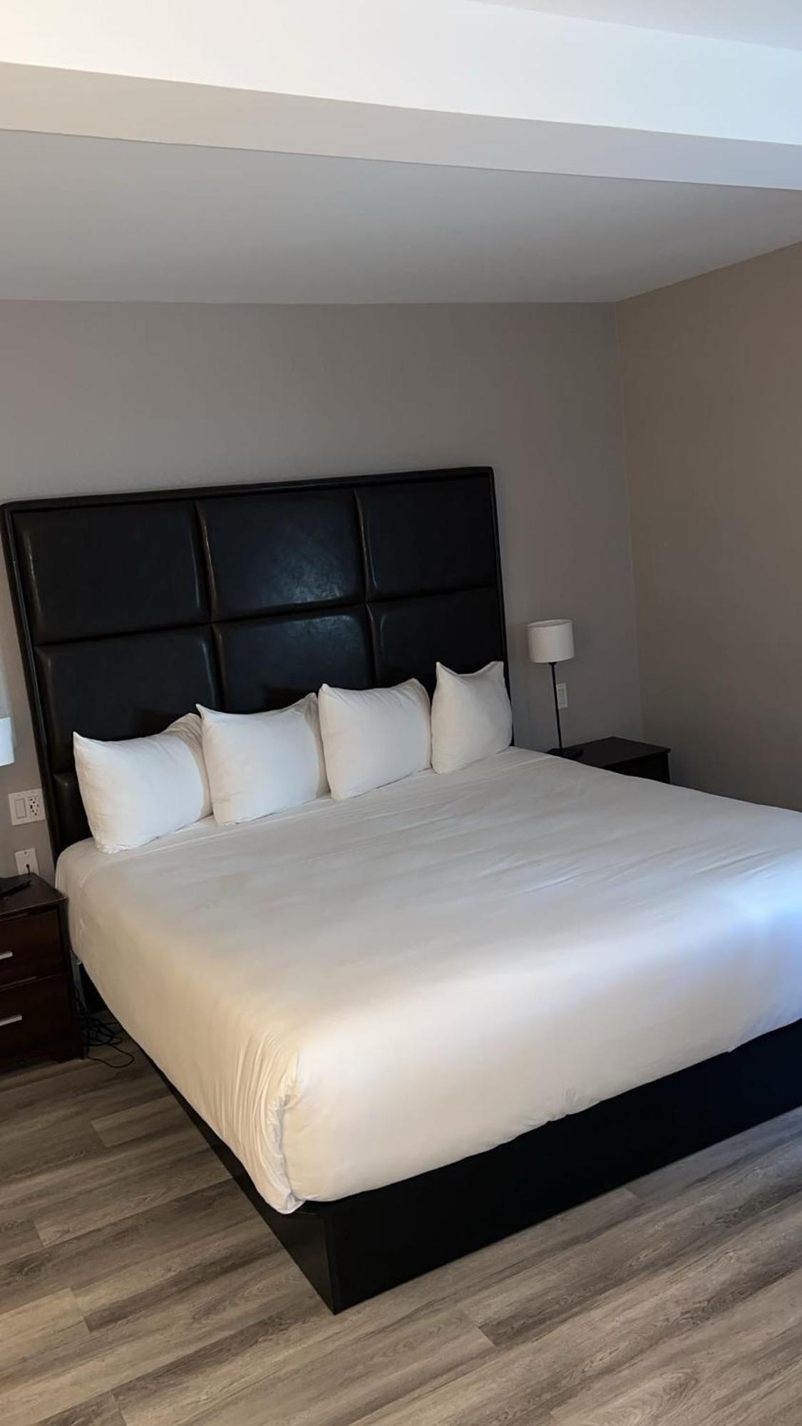 Hotel Newstar
